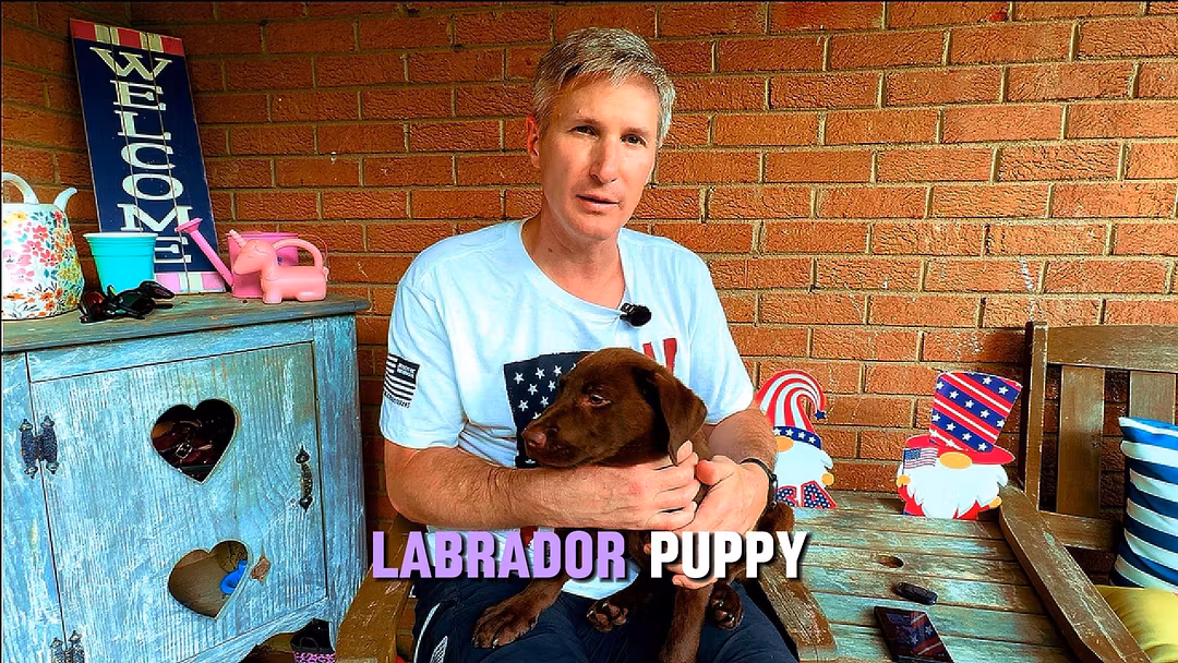 7-Day Puppy Training Blueprint