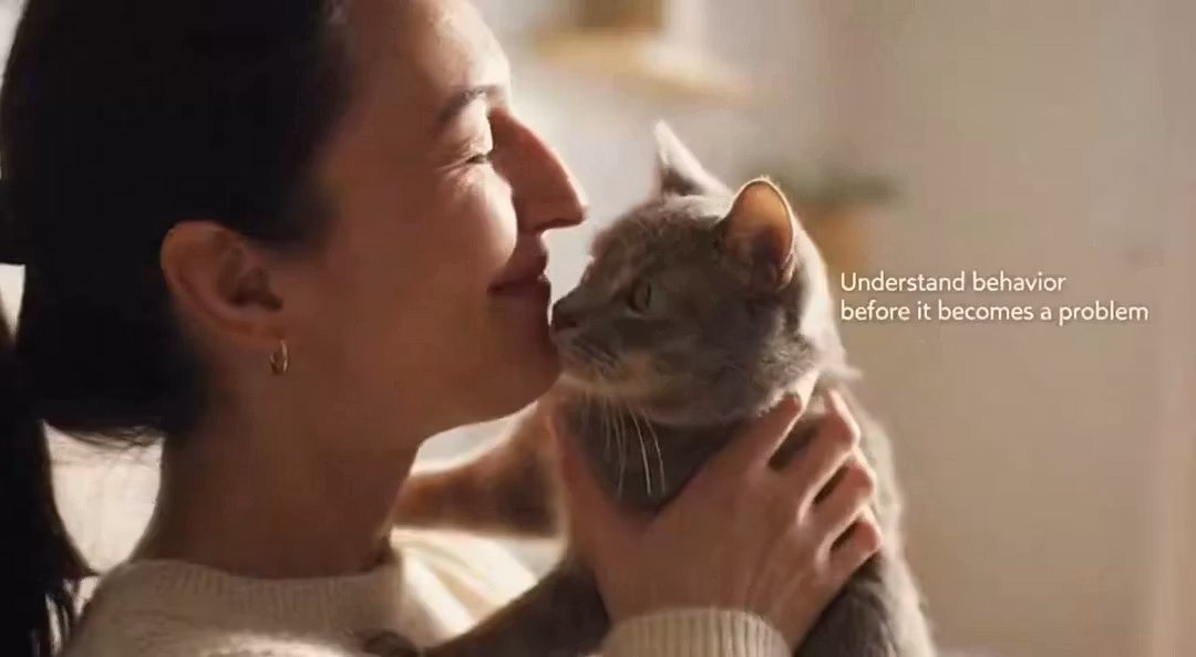 Understand your cat’s real needs and behavior • Step‑by‑step guidance for better training, bonding and daily care • Reduce stress, scratching and chaos at home • Confident, informed cat ownership without guesswork