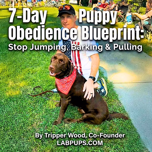 Tripper's Dog Training