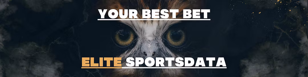 YBB Sports Night Owl